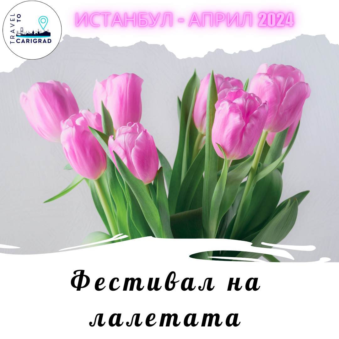 Фестивал на лалетата в Истанбул